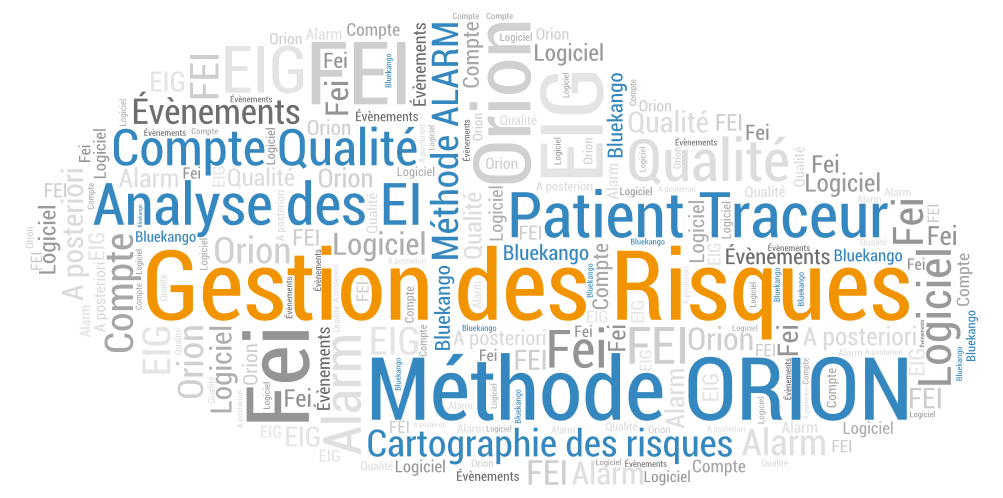 Qualite et gestion des risques